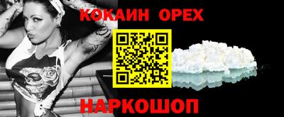 гашик Гатчина