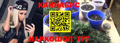гашик Гатчина