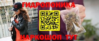 гашик Гатчина