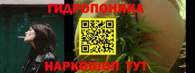 гашик Гатчина
