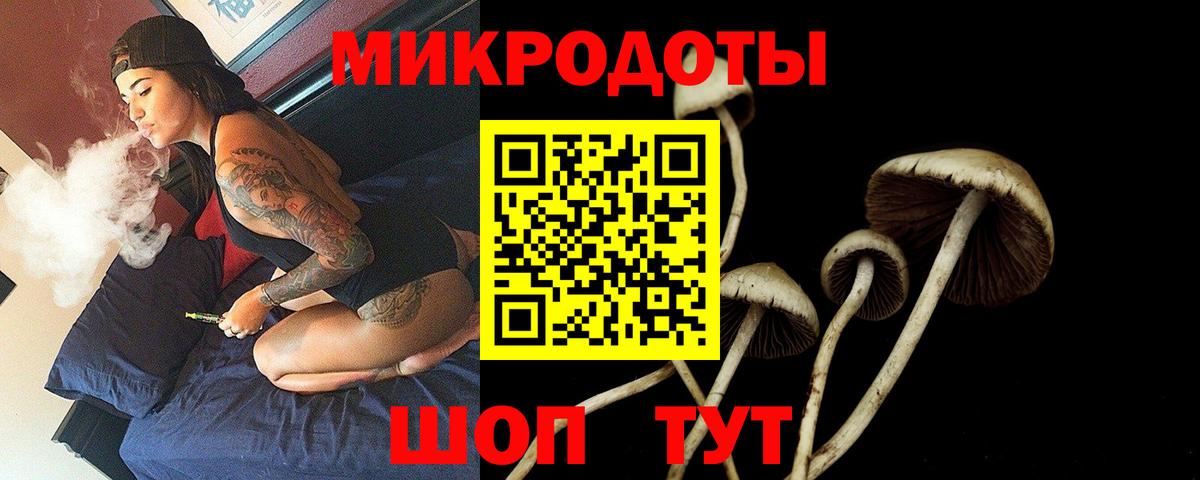 Псилоцибиновые грибы мицелий Новочебоксарск